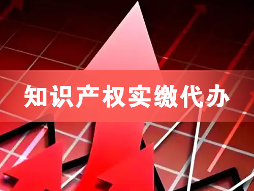 醴陵知识产权实缴资本代办